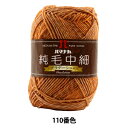 秋冬毛糸 『純毛中細 (グラデーション) 110番色』 Hamanaka ハマナカ