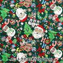 生地 『クリスマスプリント カットクロス ポップ 約110cm×50cm グリーン C-SS-2404-3C』