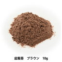 フラワー素材 『盆栽苔 ブラウン 10g』 ハンドメイド盆栽作りに 手作り盆栽の材料に使える素材です。 [フラワー素材 創作 ぼんさい クレイクラフト 粘土 手芸盆栽 こけ コケ 茶色] ◆内容量:10g ◆カラー:ブラウン ※モニターによって実物のお色と若干異なる場合がございます。 【手芸用品・毛糸・生地の専門店 ユザワヤ】