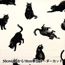 【数量5から】 生地 『オックス 猫 AP45109-1A』(3)