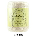 春夏毛糸 『SKI Belle Soie(スキー ベルソワ) 5101番色』 SKI YARN スキーヤーン
