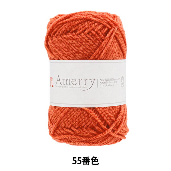 秋冬毛糸 『Amerry (アメリー) 55番色』 Hamanaka ハマナカ
