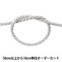 【数量5から】 手芸ひも 『ツイストコード 3mm幅 銀 3100-S』