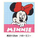 ビーズキット 『DIYキュービックペインティング ディズニー ハローミニー 25×25cm』