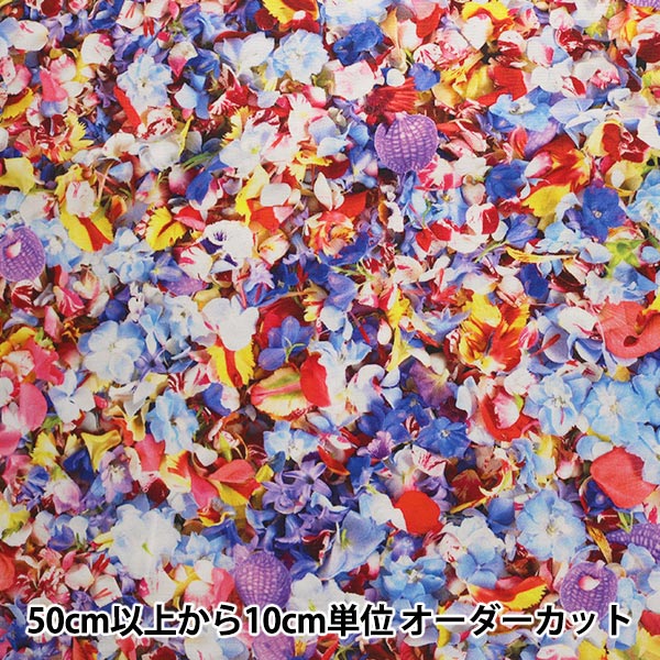 【数量5から】 生地 『20オックス Plantica 花柄 ブル―』