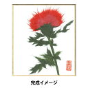 ちぎり絵キット 『自然流ちぎり絵 ミニ色紙セット あざみ』 初心者でも楽しめるミニサイズの和紙ちぎり絵キット♪ 制作時間2〜3時間で日本の伝統工芸「和紙ちぎり絵」を手軽に楽しめるセットです。 制作に必要な道具も全部入っています。 和紙をちぎって台紙に貼っていく「ちぎり絵」は、和紙のちぎり方や貼り方で様々な質感や雰囲気を表現でき、お子様からご年配の方まで年齢を問わず楽しめます。 [書道 書画 貼り絵 押し絵 切り絵 日本画 季節 壁掛け 四季折々 版画 包装紙 花] ◆作品サイズ:約縦13.5cm×横12cm ◆セット内容: 原画手本(実物大)、ミニ色紙、下絵、カーボン紙、因州和紙、粉末のり ◆必要道具:のりを入れる小皿、はさみ ※モニターによって実物のお色と若干異なる場合がございます。 【手芸用品・毛糸・生地の専門店 ユザワヤ】