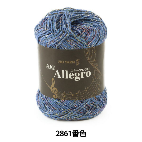 秋冬毛糸 『SKI Allegro (スキーアレグロ) 2861番色』 SKIYARN スキーヤーン