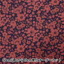【数量5から】 生地 『リバティ・ファブリックス エアリーコット ベッツィ・ブー 3633129J23K』 Liberty Japan リバティジャパン(3)