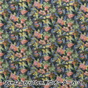【数量5から】 生地 『リバティ・ファブリックス エアリーコット アイヴィ DC28990-J24B』 Liberty Japan リバティジャパン