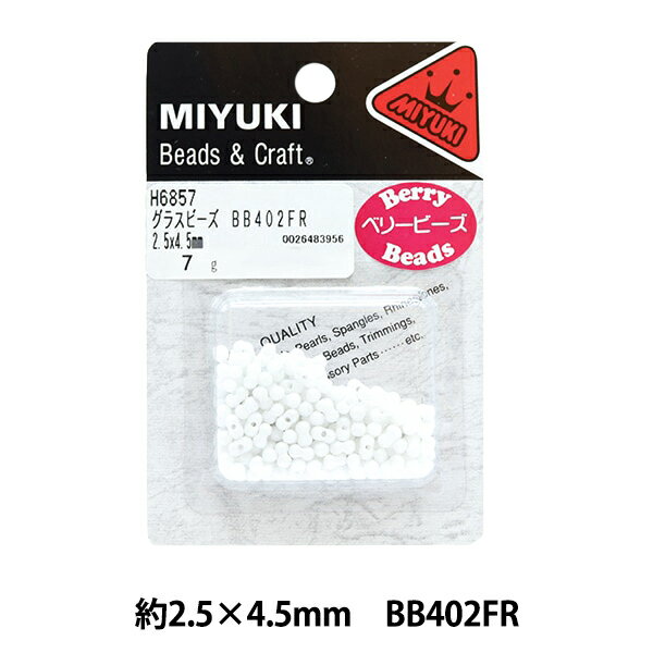 ビーズ 『ベリービーズ つや消し白ギョクAB BB402FR H6857』 MIYUKI ミユキ