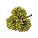 造花 シルクフラワー 『スパイダーマムバンチ(1束3本) グリーンレッド A-33613-051G』 asca アスカ商会