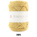 秋冬毛糸 『Amerry (アメリー) 3番色』 Hamanaka ハマナカ