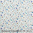 【数量5から】 生地 『リバティ・ファブリックス タナローン スターストラック 363J4205-AU』 Liberty Japan リバティジャパン(3)