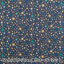 【リバティファブリックスセール】 【数量5から】 生地 『リバティ・ファブリックス タナローン スターストラック 363J4205-DU』 Liberty Ja...