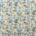 【数量5から】 生地 『リバティ・ファブリックス 11号帆布 ハラバルー 3631121-21B』 Liberty Japan リバティジャパン(3)
