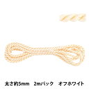 手芸テープ 『ツイストコード 約5mm幅 2mパック オフホワイト NR-01C』