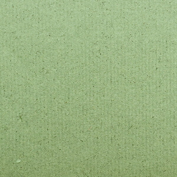 折り紙 千代紙 『民芸紙 KM-69』 幅広い用途に使える和紙♪ 四方耳付きで単色に染められています。 和紙人形やちぎり絵等に適してます。ロットにより多少色が違います。 [和紙 ちぎり絵 クラフト紙 楮 グリーン 緑] ◆サイズ:約67.0cm×99.0cm ◆素材:楮 ◆色:緑系 ※モニターによって実物のお色と若干異なる場合がございます。 【手芸用品・毛糸・生地の専門店 ユザワヤ】