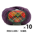 毛糸 『BRITISH EROIKA(ブリティッシュエロイカ) 183番色』 Puppy パピー