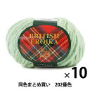 毛糸 『BRITISH EROIKA(ブリティッシュエロイカ) 202番色』 Puppy パピー