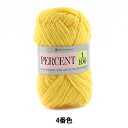 秋冬毛糸 『PERCENT (パーセント) 1/100 4番色』 RichMore リッチモア
