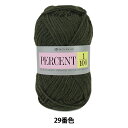 秋冬毛糸 『PERCENT (パーセント) 1/100 29番色』 RichMore リッチモア