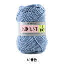 秋冬毛糸 『PERCENT (パーセント) 1/100 40番色』 RichMore リッチモア