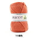 秋冬毛糸 『PERCENT (パーセント) 1/100 115番色』 RichMore リッチモア