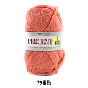 秋冬毛糸 『PERCENT (パーセント) 1/100 79番色』 RichMore リッチモア