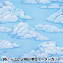 【数量5から】 生地 『スカイプリント WD300 300-1Aターコイズ』(3)