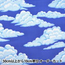 【数量5から】 生地 『スカイプリント WD300 300-1C紺』