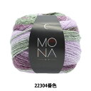 秋冬毛糸 『MONA (モナ) 22304番色』 Wor