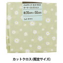 生地 『パッチワークカットクロス ホーミーコレクション DH10249S-D』