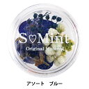 レジン材料 『ドライフラワー フルレット シリーズ1 ブルー』 SMint エスミント