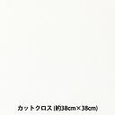 生地 『ちいさな世界のちいさな生地 スムースニット 約38×38cm ホワイト TTNM-09』
