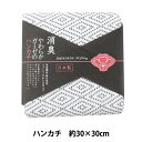 タオル 『消臭やわらかガーゼのハンカチ JS45001 NB ネイビー あさなぎ 約30×30cm』