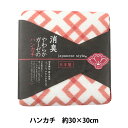タオル 『消臭やわらかガーゼのハンカチ JS45002 R レッド うすらい 約30×30cm』