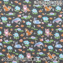 【リバティファブリックスセール】 【数量5から】 生地 『LIBERTY ネオンカラー タナローン オスカーネオン 3339255SP-J23E』 リバティジャパン