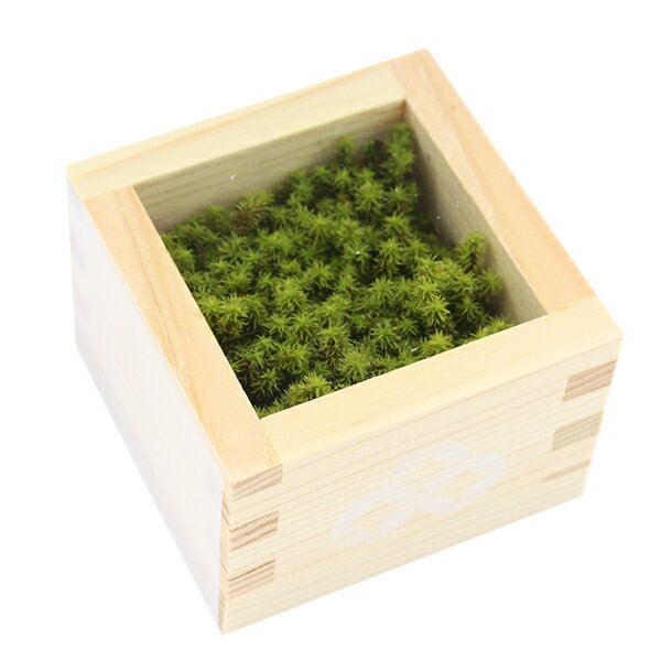 プリザーブド 『プリザードモス 枡』