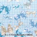生地 『すごく水をはじく抗菌防臭超撥水ポリエステル カットクロス 約135cm×100cm リボンチェック ブルー C-HP-SC-RI-BL』