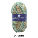 ソックヤーン 毛糸 『抗菌防臭 FREE SOCK(フリーソック) D47-08番色』 World Selection ワールドセレクション 【ユザワヤ限定商品】