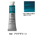 G wvtFbVi EH[^[J[ 5ml 697 ANAO[ 18801697x Winsor&Newton