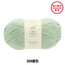 【お取り寄せ限定】 秋冬毛糸 『WONDER WOOL 308番色 ジェイド』 NOVITA ノヴィタ ノビータ