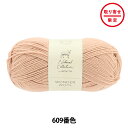 【お取り寄せ限定】 秋冬毛糸 『WONDER WOOL 609番色 パウダー』 NOVITA ノヴィタ ノビータ