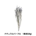 プリザーブドフラワー 『カスピア ナチュラルパープル 03710-401』