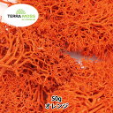 プリザーブド 『テラモス フレックス 50g オレンジ』 エーピージャパン(4)