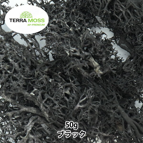 プリザーブド 『テラモス フレックス 50g ブラック』 エーピージャパン