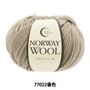 秋冬毛糸 『ノルウェーウール 77022番色』 World Festa ワールドフェスタ 【ユザワヤ限定商品】