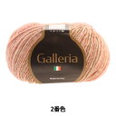 秋冬毛糸 『Galleria (ガレリア) 2番色』