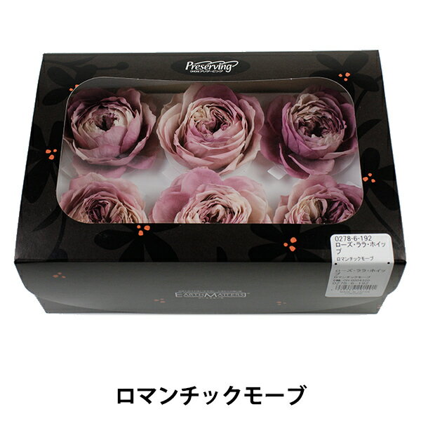 プリザーブドフラワー 『ローズ ララ ホイップ ロマンチックモーブ 02786-192』