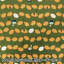 【数量5から】 生地 『ドビー たい焼き 抹茶 AP55109-1D』